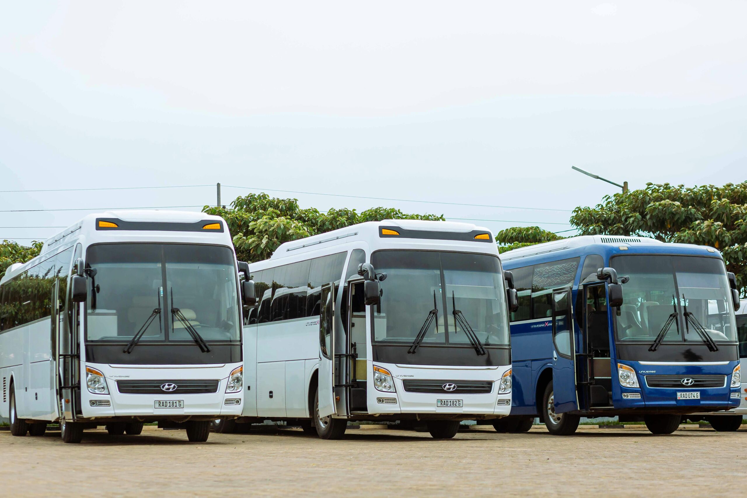 Travel Services icon